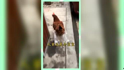 吃瓜群众的娱乐网名,揭秘吃瓜群众的娱乐网名背后的趣味人生